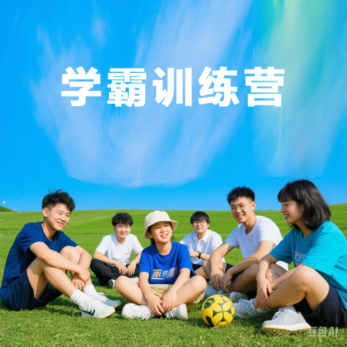 《学霸训练营》